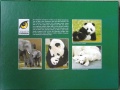 100 Tiergarten Schoenbrunn Pandababy2.jpg