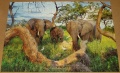 1000 (Elefantenfamilie)1.jpg