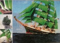 1000 Segelschiff Alexander von Humboldt1.jpg