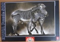 500 Zebras.jpg