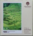 1000 Amazing Rice Terrace Field, Bali.jpg