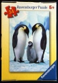 54 (Pinguin-Familie).jpg