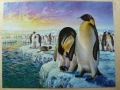 1000 Penguins (1)1.jpg