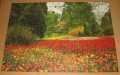 1500 Tulpenbluete1.jpg