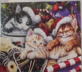 550 Meow-y Christmas1.jpg