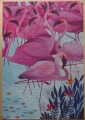1000 (Flamingos)1.jpg