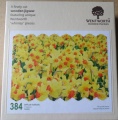 384 Difficult Daffodils.jpg