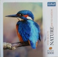 1000 Kingfisher, United Kingdom.jpg