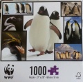 1000 Penguins (3).jpg