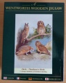 250 Owls - Thorburns Birds.jpg