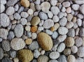 500 (Pebbles)1.jpg