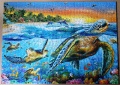 500 Sea Turtles1.jpg