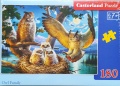 180 Owl Family.jpg