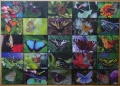 1500 Collage - Schmetterlinge1.jpg