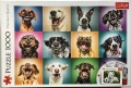 1054 Lustige Hundeportraits, Weisser Hund.jpg