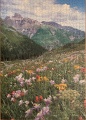 1000 Blumenwiese vor Mount Sneffles1.jpg