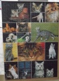 1000 Katzen1.jpg