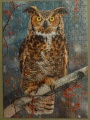 260 Great Horned Owl1.jpg