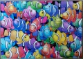 500 Clownfish2.jpg