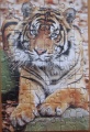 54 (Tiger)1.jpg