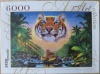 6000 Majestic Tiger.jpg
