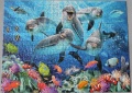 500 Delfine im Korallenriff1.jpg