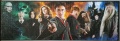 1000 Harry Potter (1)1.jpg