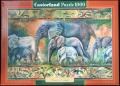 1000 Parade of Elephants.jpg