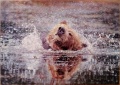 500 Splashing Bear1.jpg