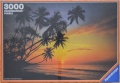 3000 Sonnenuntergang am Palmenstrand (1).jpg