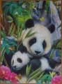300 Lieber Panda1.jpg