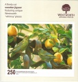 250 The Greenfinches of Lemon Grove.jpg