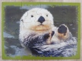 12 (Otter)1.jpg