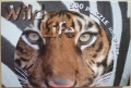 500 (Tiger).jpg
