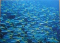 1500 Tropical Fish (2)1.jpg