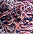 400 Can-O Worms1.jpg