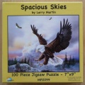 100 Spacious Skies.jpg