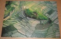 1000 Reisfelder auf Bali, Indonesien1.jpg