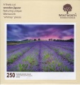 250 Kentish Lavender Sunset.jpg