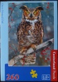 260 Great Horned Owl.jpg