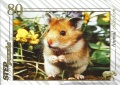 80 (Hamster).jpg