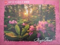 2000 Rhododendron.jpg