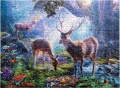 500 Hirsche im Wald1.jpg