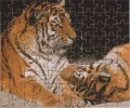 99 (Zwei Tiger)1.jpg