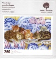 250 Sleeping Kittens.jpg