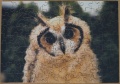 140 Mexican Striped Owl1.jpg