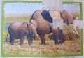 48 (Elefanten)1.jpg
