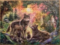 500 Wolfsfamilie im Sonnenschein1.jpg