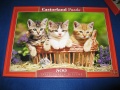 500 Three Lovely Kittens (1).jpg