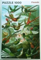 1000 Kolibris.jpg